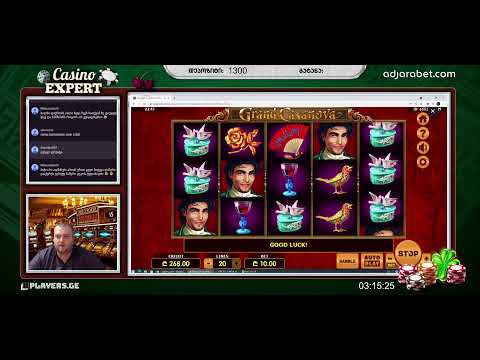 Casino EXPERT  - Live ! ! !